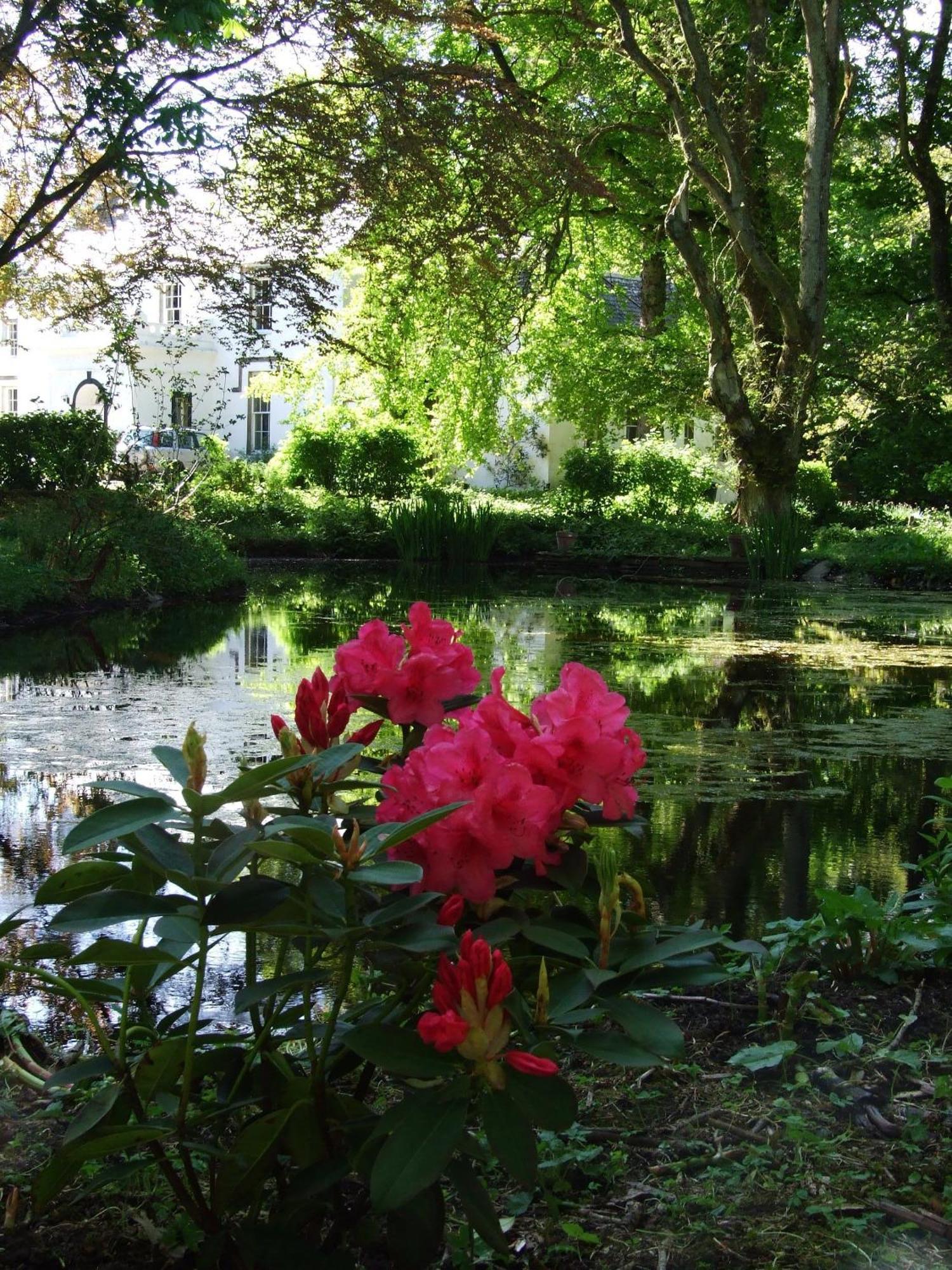 Thrumster House Wick  Buitenkant foto